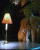 /album/maska/maska-003-gif/